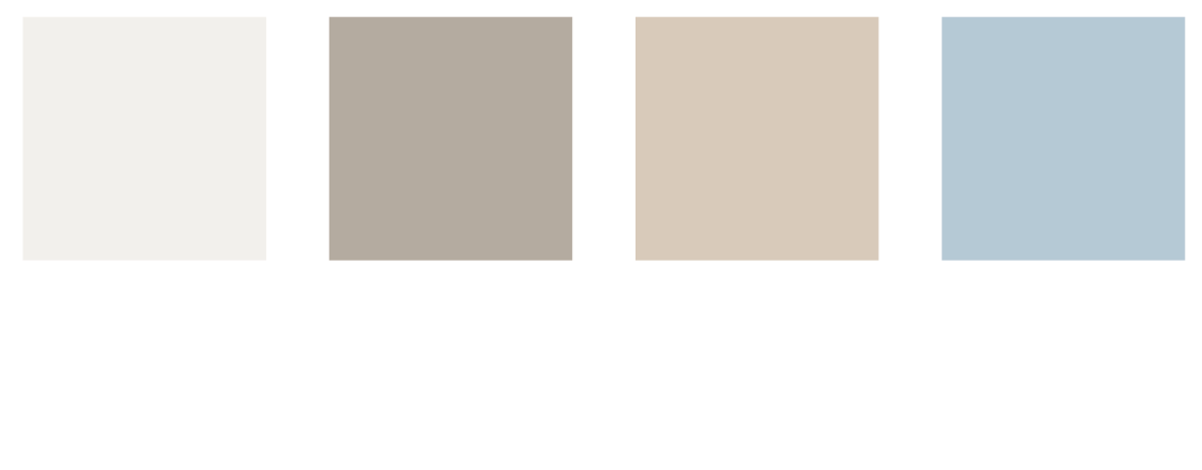 SkinSurgery – Color Palette